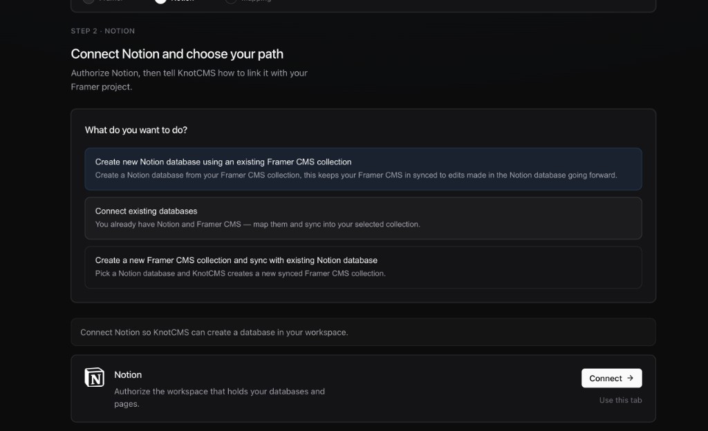 Notion wizard step showing three setup path options and Connect button